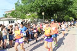 IMG 8344