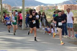 IMG 8447